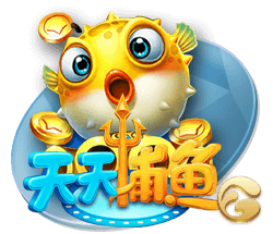 弗格森：罗马是一家伟大俱乐部，目标重返欧冠&希望自己能多进球